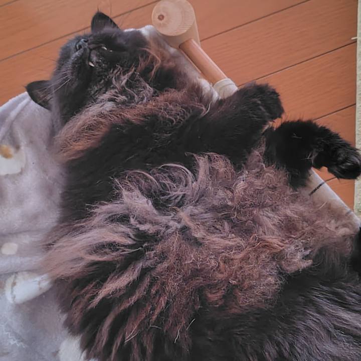 37c9f231 74b5 4b6f 9ba4 497622c77179 1764722484361