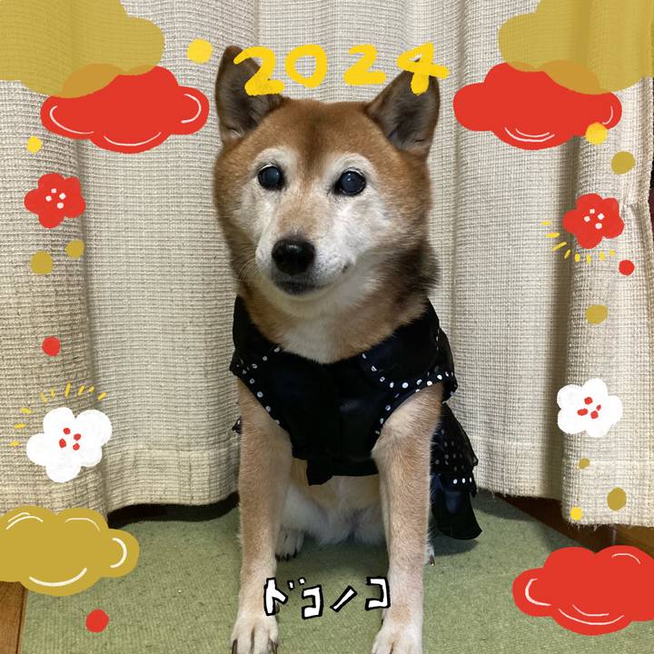 37ca1334 e0bf 453d 8637 6b2ecb488eed 1704074793571