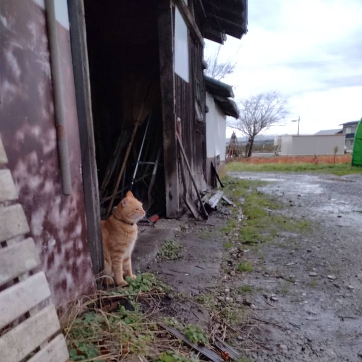 37ca280b 26e4 40f8 acb5 15e9f5e82596 1669069464854