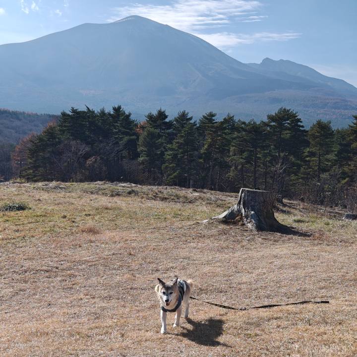 37ca2bca 1368 47b0 a1ba 7445eef4d552 1763304784786