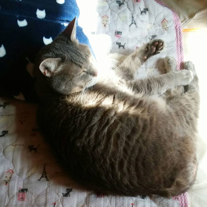 37ca2c9f fd78 4a99 ade0 b19e045f638b 1571537574055