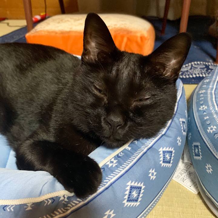 37ca4558 3be9 4a8c bfb1 85a9746de861 1565776922259