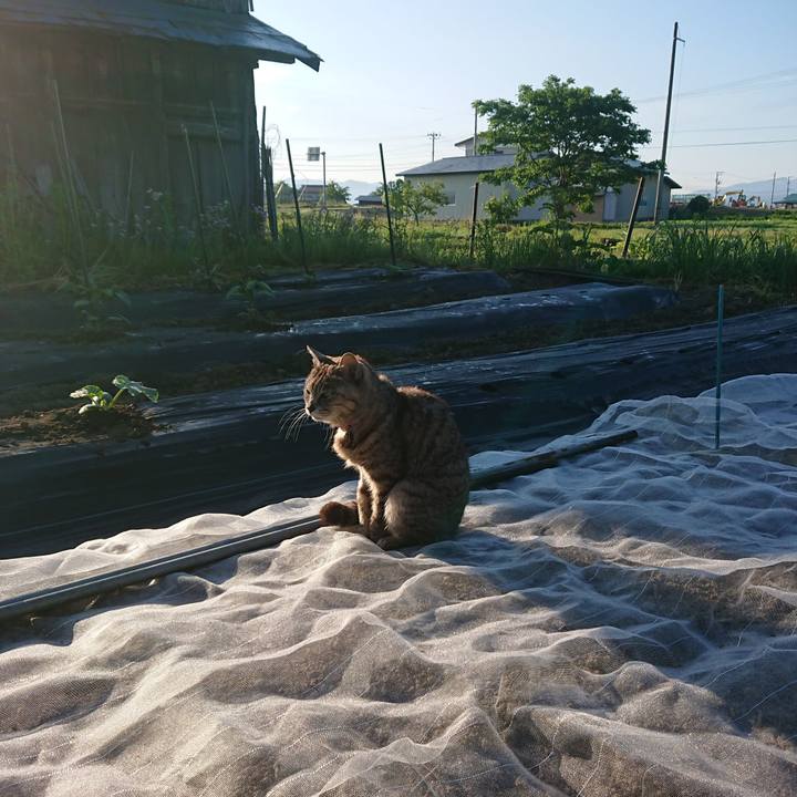 37ca6f0b aba5 4086 a285 e8e31fb30226 1590699653970