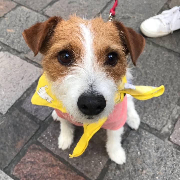 37ca87b2 a678 442d aa39 289cad5e2ba1 1555803315060