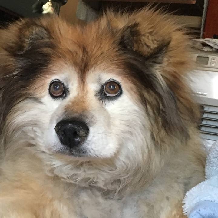 37cac203 b646 422a 97cb ed311a30de48 1596689611781