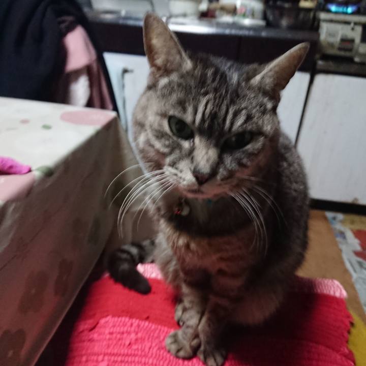 37cb0839 1098 40da 9cc5 72df8c22c518 1554582534410