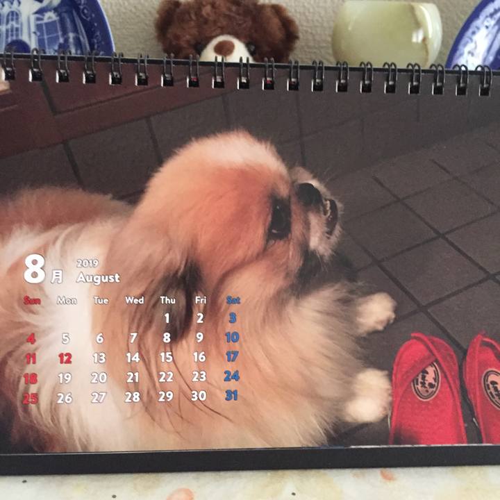 37cb7786 f66a 4622 8b33 4d3b82d4feec 1564624869694