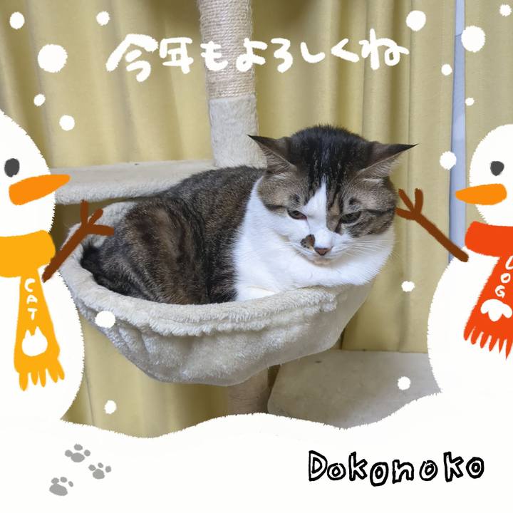 37cc04eb ae81 4f02 aaba 27baf47d06d9 1704103003807