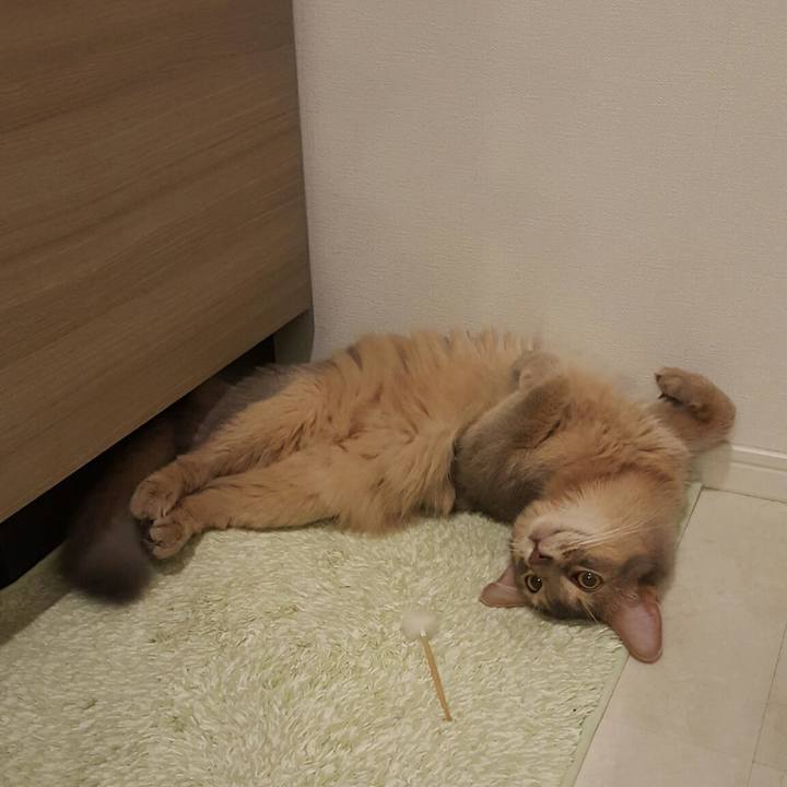 37cc062c 87ca 425a b7e0 12fd6d7a9d58 1532175543498