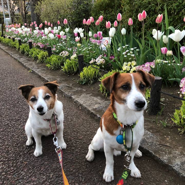 37cc2f70 3429 4d43 8552 f39b154b25d9 1522911133602