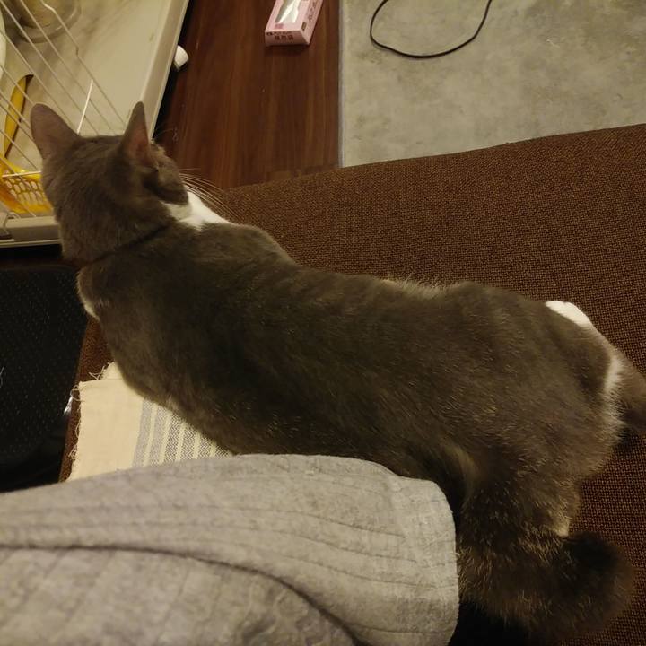 37cc4253 866b 4fbe 94c3 f375366b5c90 1593953948394