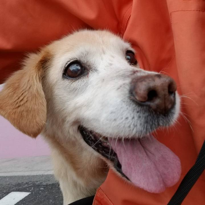 37cc717d 85a6 4d37 bee8 7fa36a20eba2 1758746038534