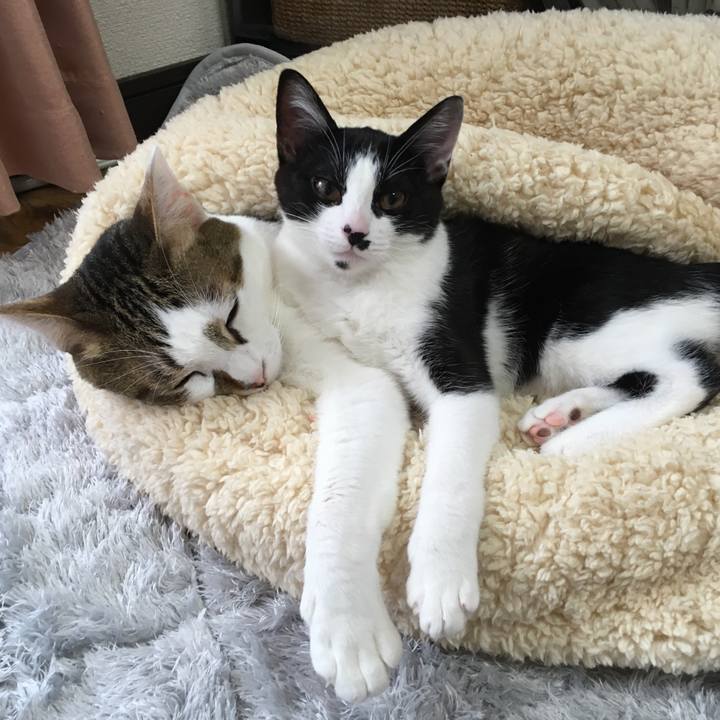 37cc7722 d57d 4eda 91bb 2490dfff649f 1578049144477