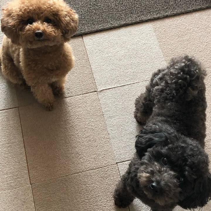 37cc9243 076c 4d49 9ec4 99f9e97cc0e0 1584419167020