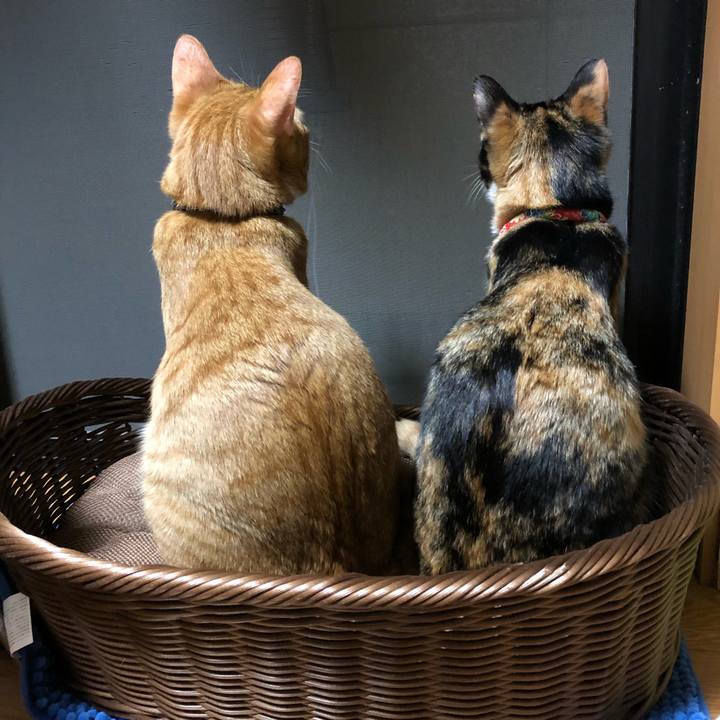 37ccbb2e db2f 4b3c bc02 fe3bf509a351 1558786137077