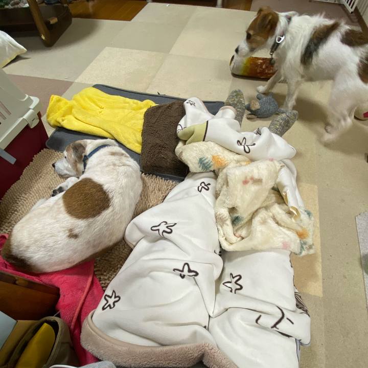 37ccf0f6 57c6 4d42 a7c1 ae98f3b85c3d 1698496312360