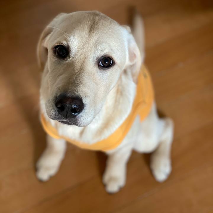 37ccf504 f072 474d 9e6f 7c470a214e61 1617167106414