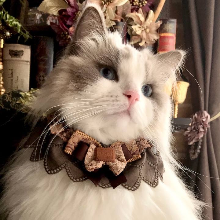 37cd04f6 fa6b 4883 a40e d23c9fec3a85 1610221075473