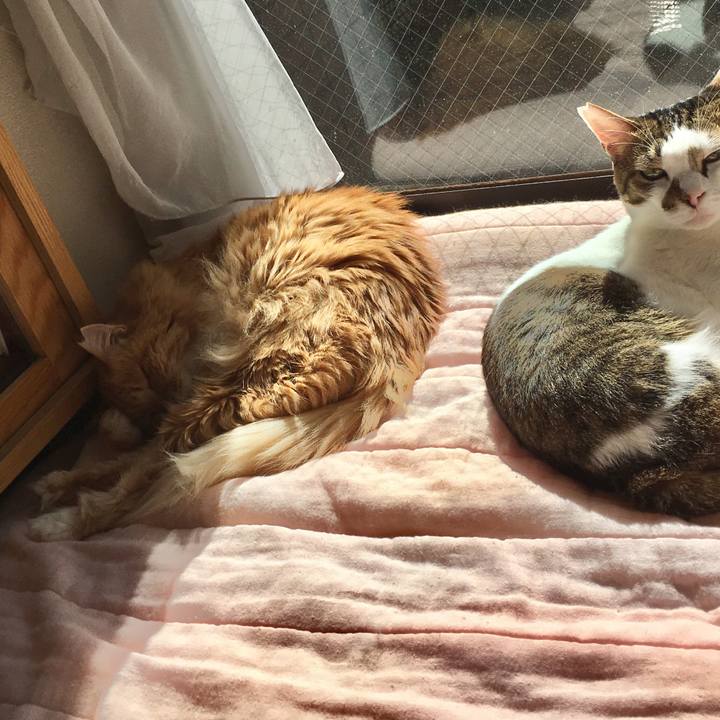 37cd09dd 2954 4c40 8fa6 5786389d92d9 1554938431642