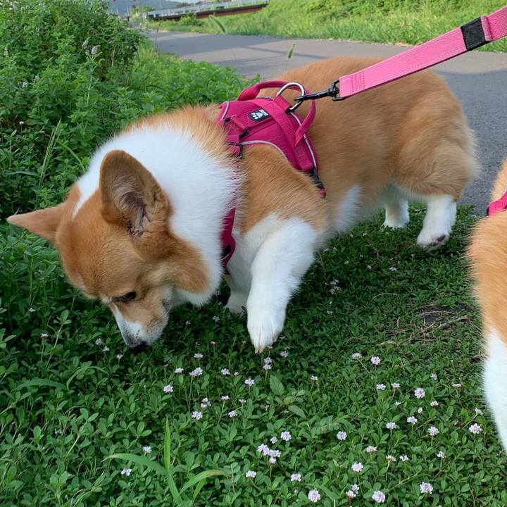 37cd4ddd 9cfe 440b 8787 eee6320eac68 1630108683005