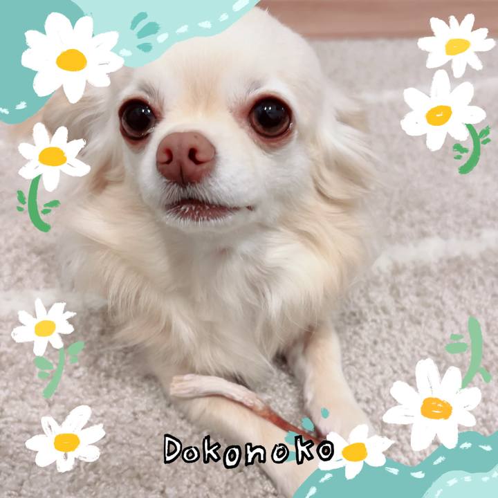 37cd5e4f 5df2 407e 8ae3 b7337ebf8d8f 1712239827838