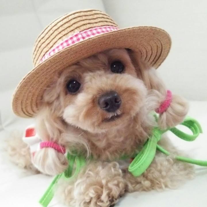 37cd845e 2616 4743 970b 8338192c3e43 1533187501180