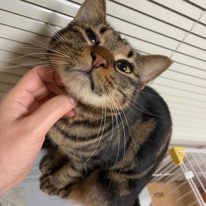 37cd906a f54e 493e bcde a609b280dd65 1766233994979