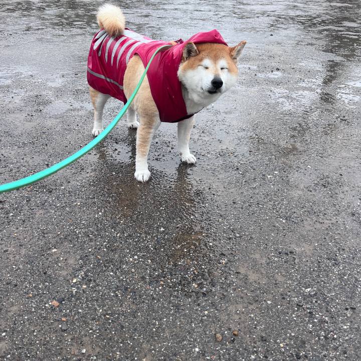 37cd9214 8358 41d2 992f c90eaef7bef1 1714543334889