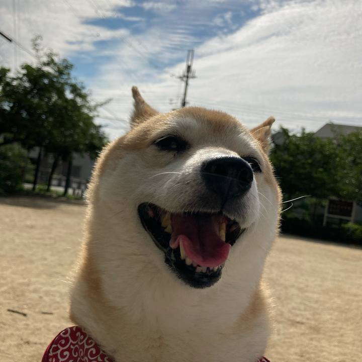 37cdbc20 298a 421b 844f d58a503e4a33 1624288800710