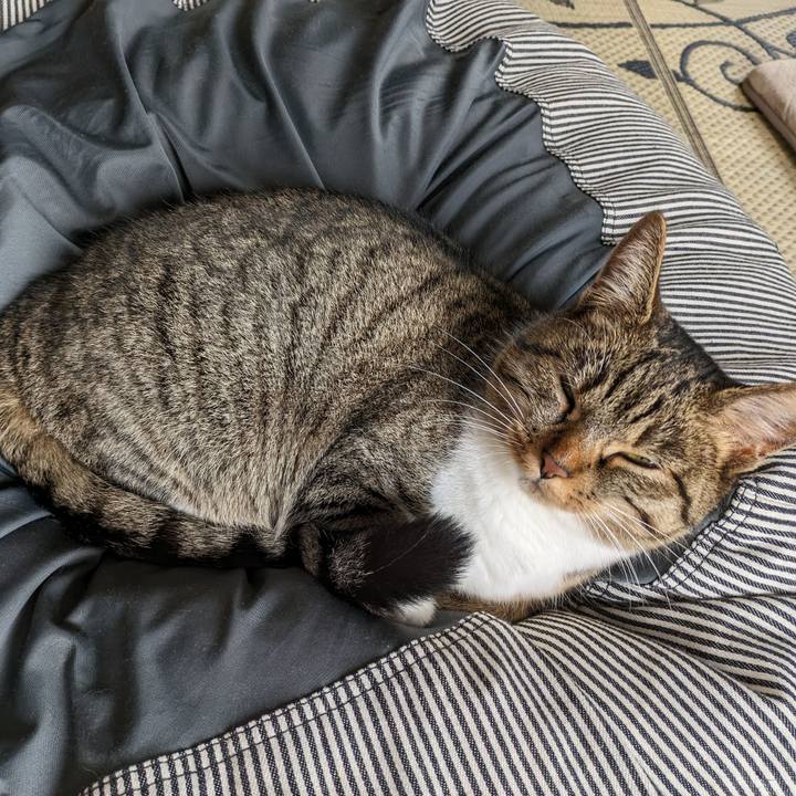 37cdf401 bb34 4c90 ac37 e755c43bb81f 1688342483341