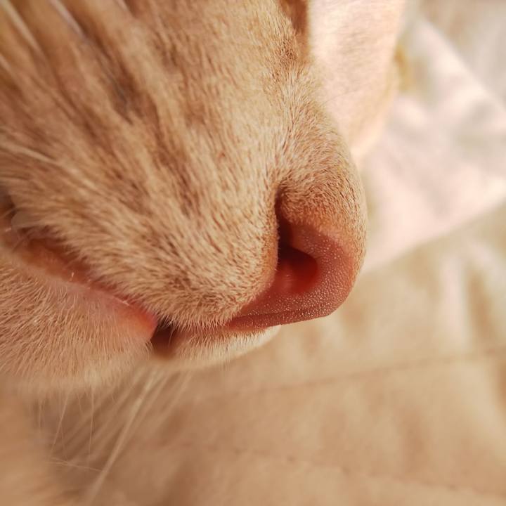 37ce1eda c69a 4c47 b13b 588129d2596e 1608351989176