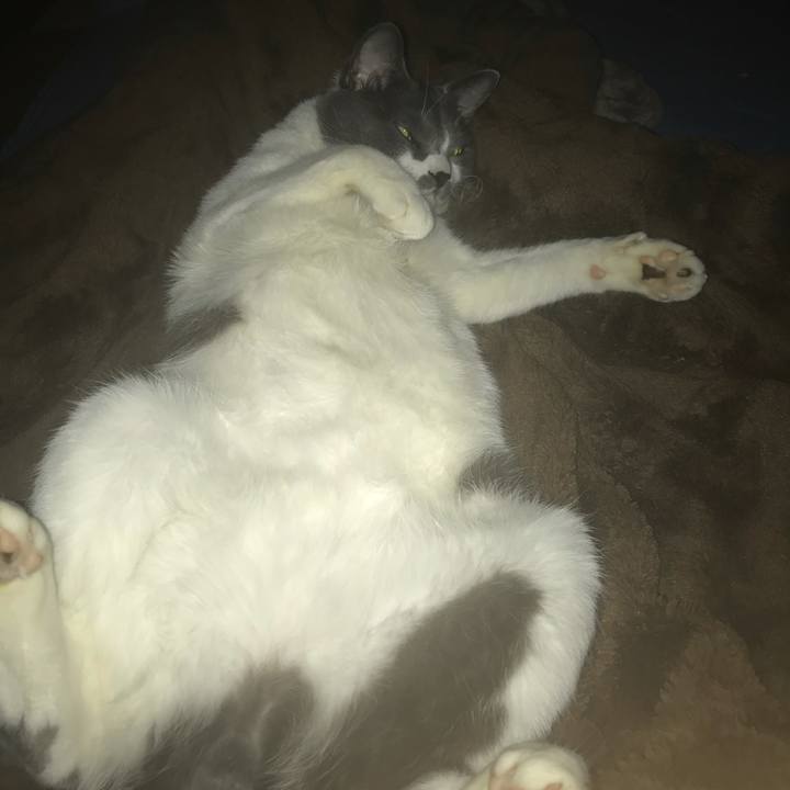 37ce3f8a 1d1d 4d2d 912e 1210a627d300 1625745517735