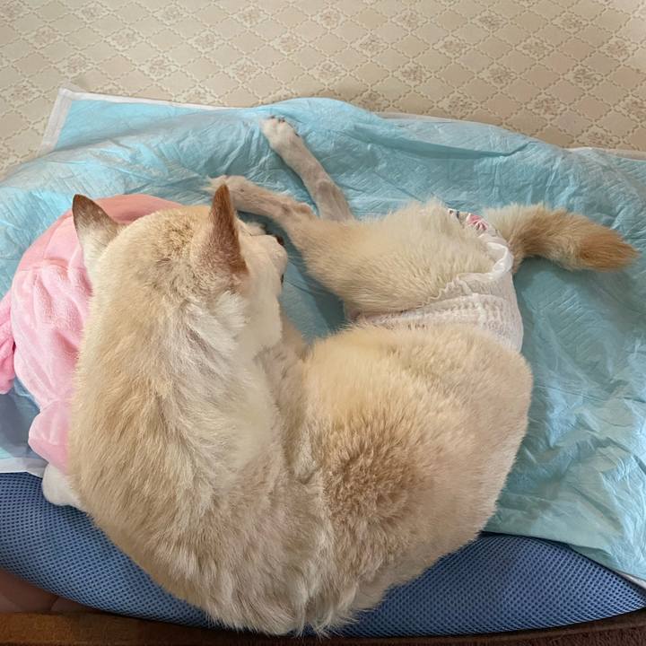 37ce4e6f 94b4 4c31 a852 ee7a165b27c1 1665990478600