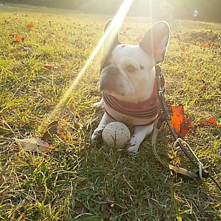 37ce5c4e 587f 4f37 bde6 68251b9acd7e 1509871752315