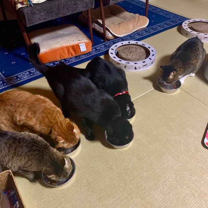 37ce8ddb 050b 41dc 9d1b 5d4cf32c034c 1571058982887