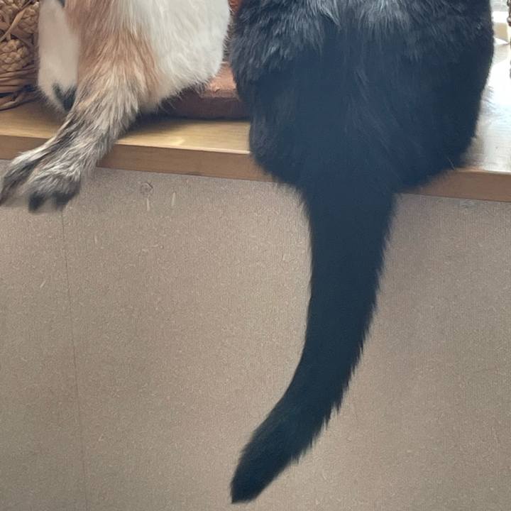 37ceb99e a10e 452d 865b b0216cc0447e 1737338125470