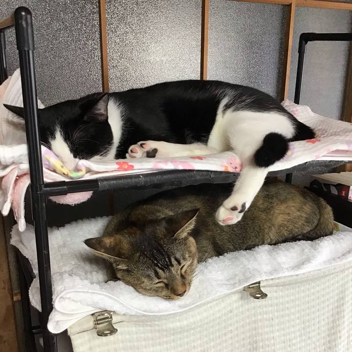 37cefa7f 0a2a 46eb bea6 67c8992db564 1634536080847