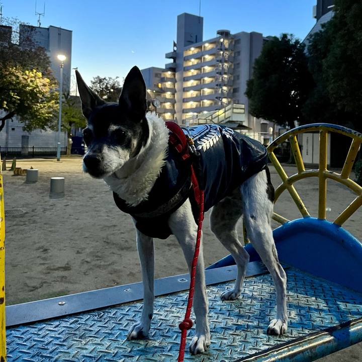 37cefda9 a858 4c93 b529 3c819e5f60d9 1638481767646