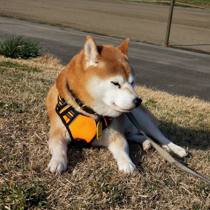 37cf008a 39d8 4c9f 82a0 c66295ab10a8 1639283374741