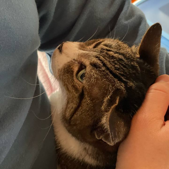 37cf09b8 0ced 4c80 857a 74a8b5d65c78 1654221530847