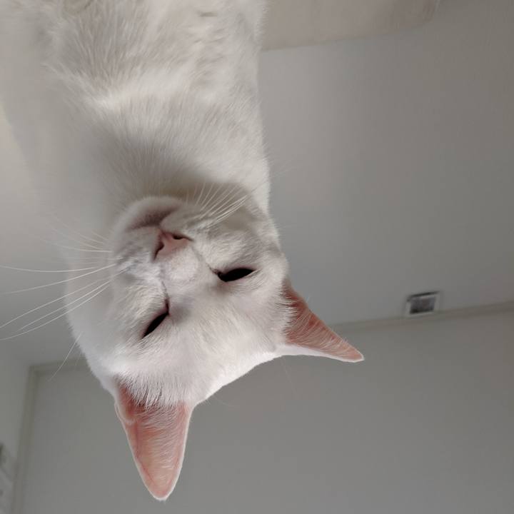 37cf64f2 83cc 4661 8f0a 4e3003f9697f 1568410779257