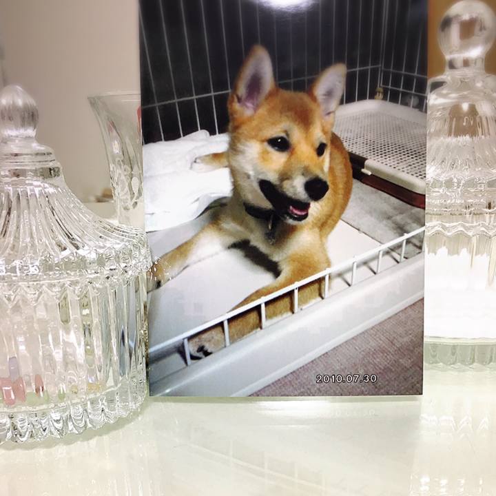 37cf7993 3526 4c57 af58 d1622a552394 1574079336403