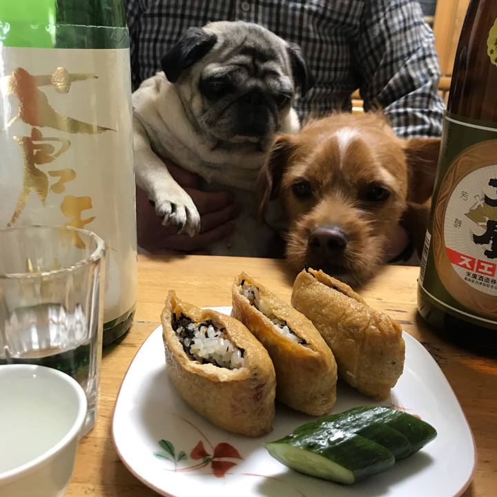 37cfa38f 6c31 495c bbfa 5a3dbb66ddb3 1553861519262