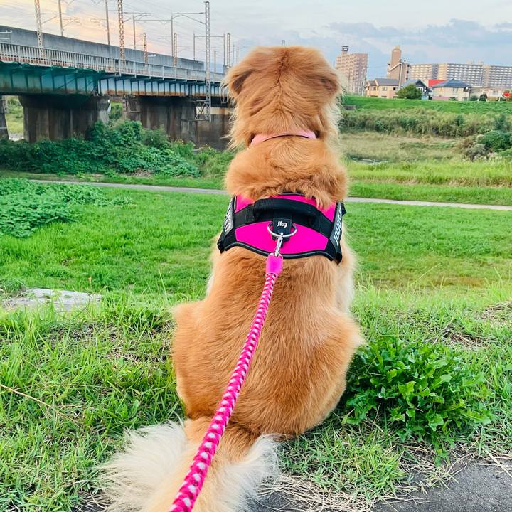 37cfab38 5d92 4573 ad14 f413a808755a 1727857211193