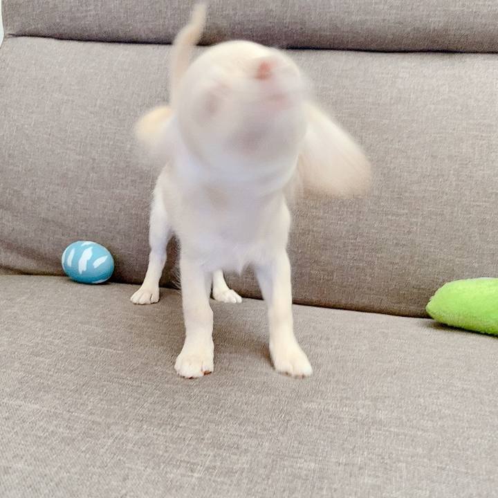 37cfbb18 525e 4a80 8113 85fd4812af53 1592440639999