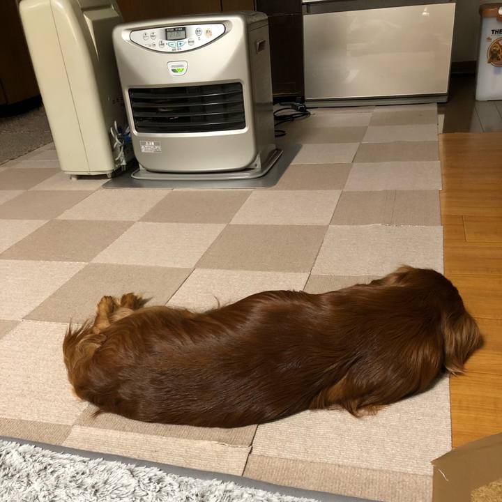 37d01461 9e2c 483c 96f8 d59f21ed2196 1578006957974