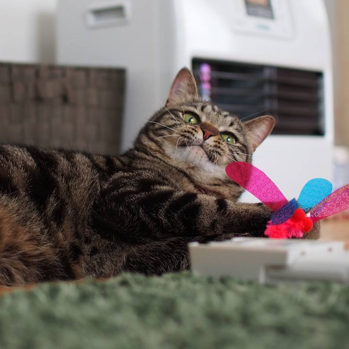 37d01486 774d 4f1f ba2a f9149ee3588e 1589200425426