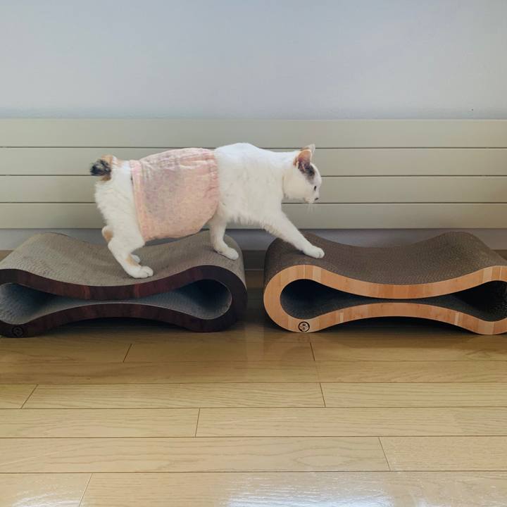 37d0485a b76a 43e9 bc83 0fabed3d5b0b 1595677689631