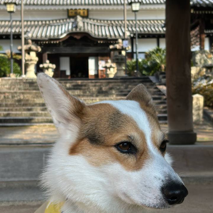 37d09434 d13d 493e 80da 822429244b3e 1766714728776