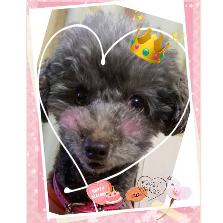 37d0bb7a 7700 4217 8295 483e0f065b4f 1616489090985